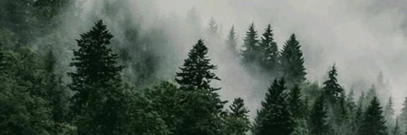 ap_floyd's profile banner image