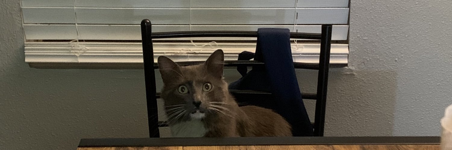 Tet5uo_'s profile banner image