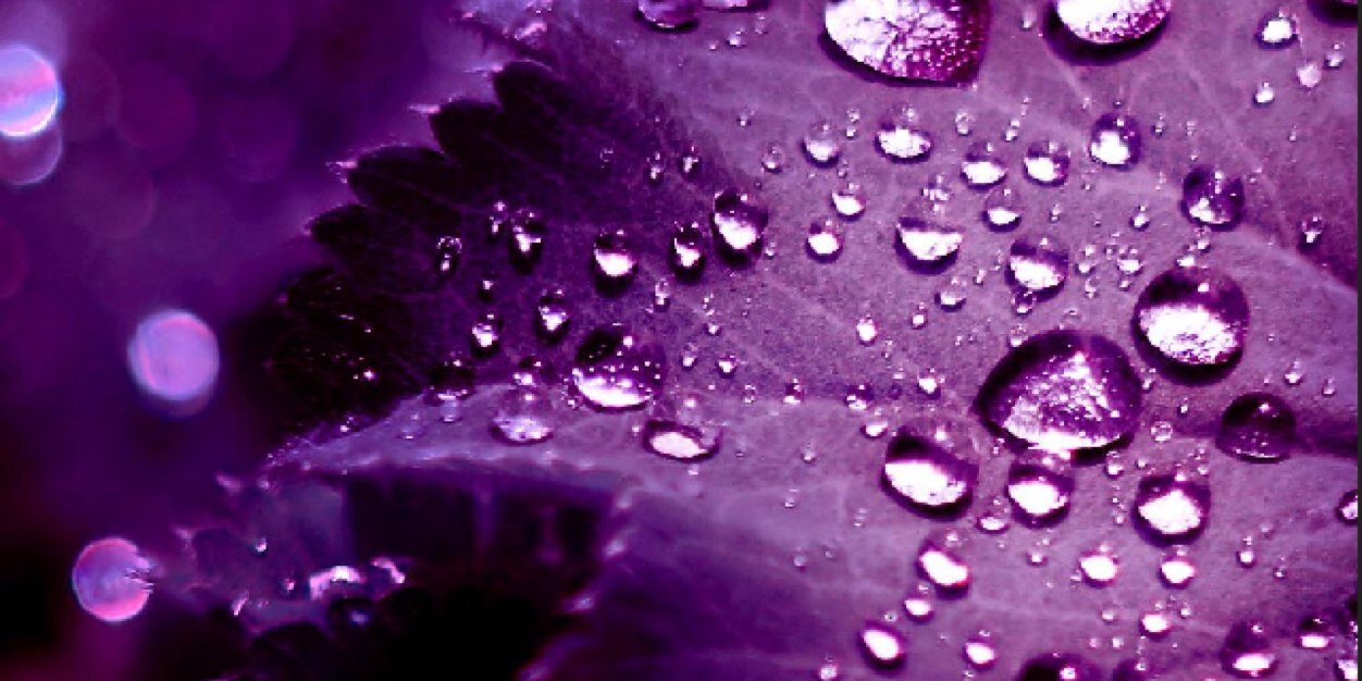 PURPLEKEYSSTYLE's profile banner image