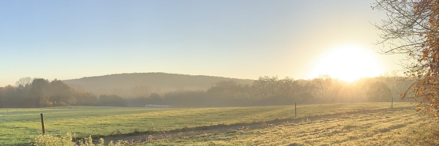 CoranneBechlem's profile banner image