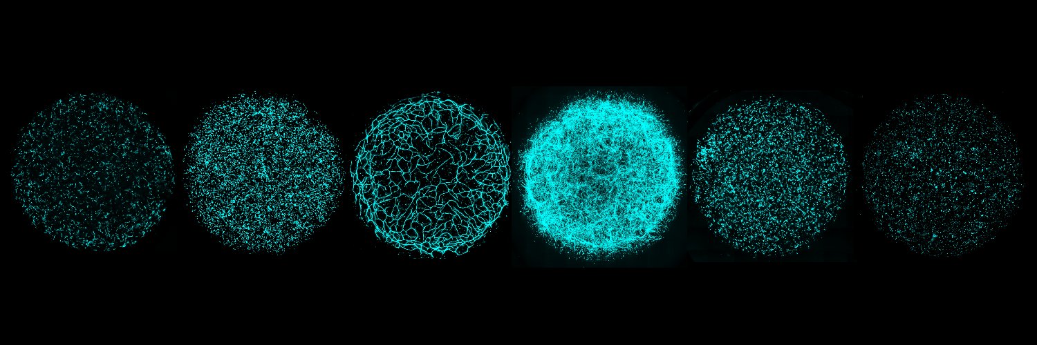 Alice Stanton banner