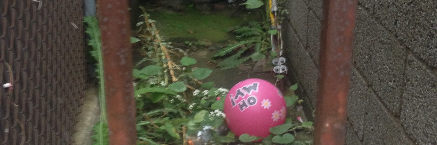 bee_mask's profile banner image