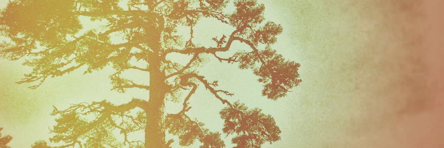 Aurelien_L_'s profile banner image