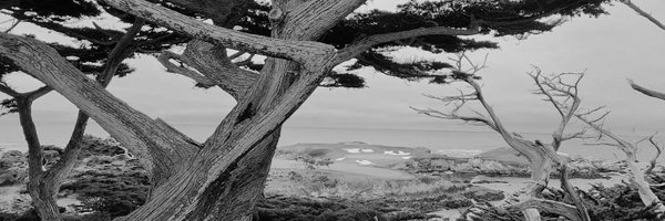 LinksNation Profile Banner