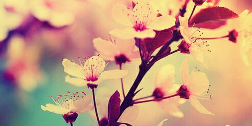 JessicaWilson07's profile banner image
