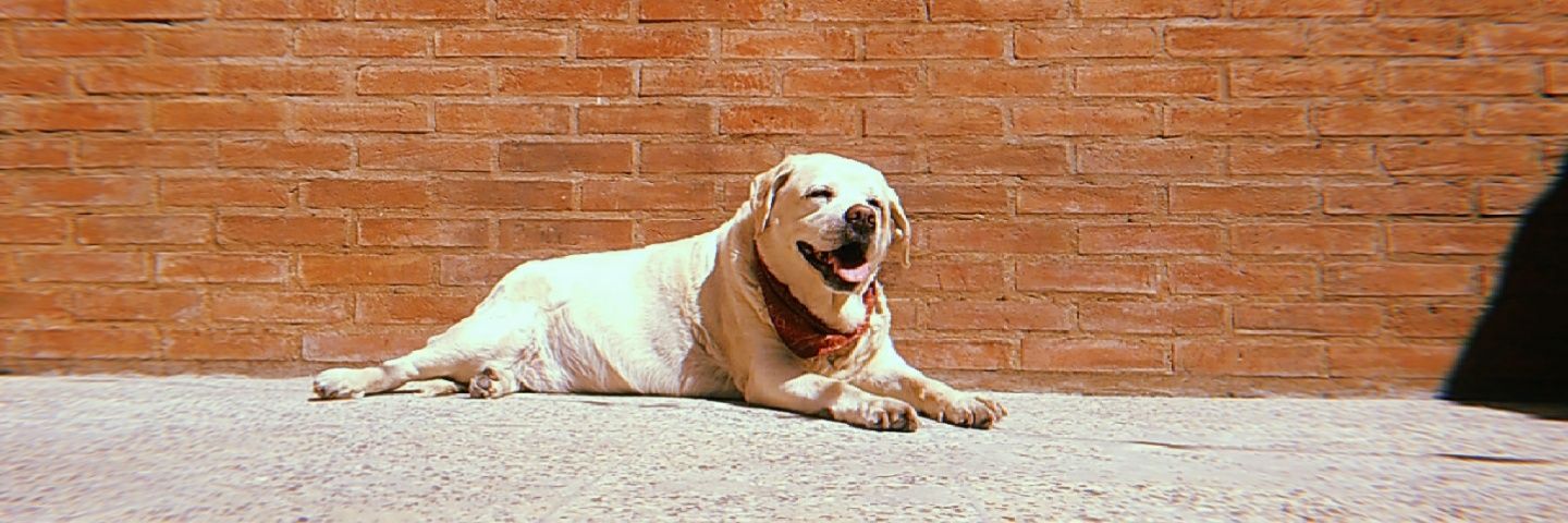 AgusPe_'s profile banner image