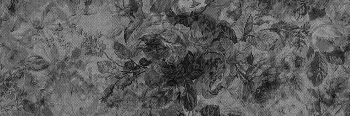 ___fxiz's profile banner image