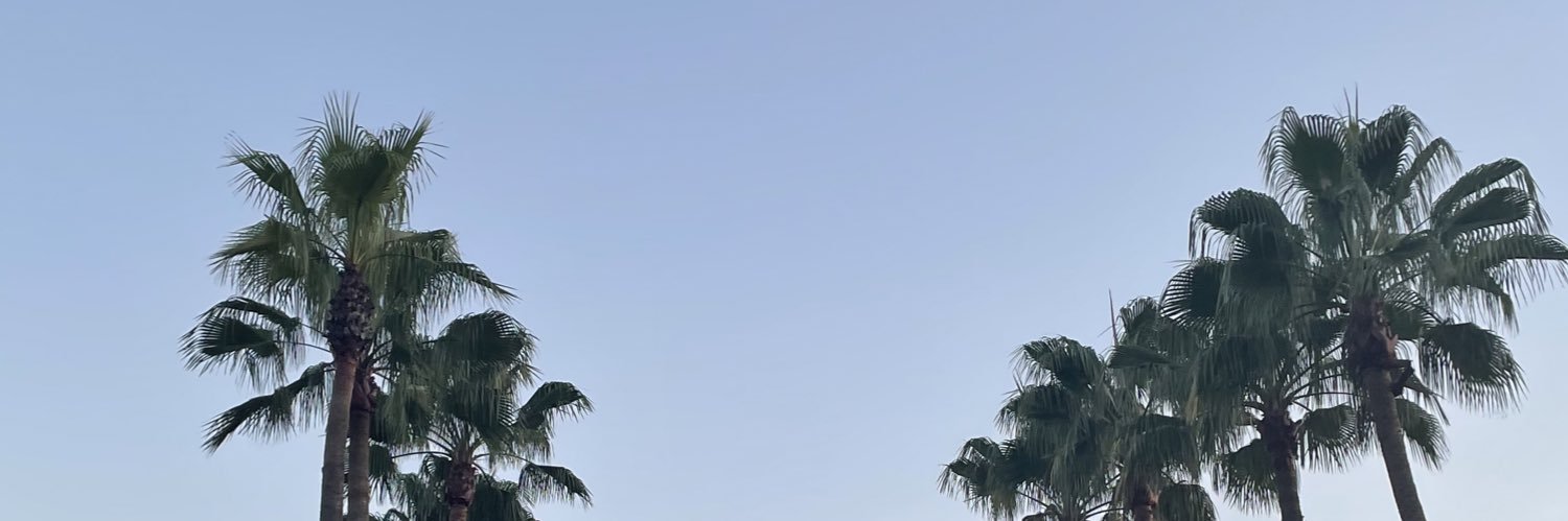 ameliaLM1183's profile banner image