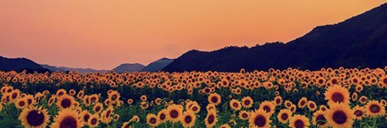Ameliajanee93's profile banner image