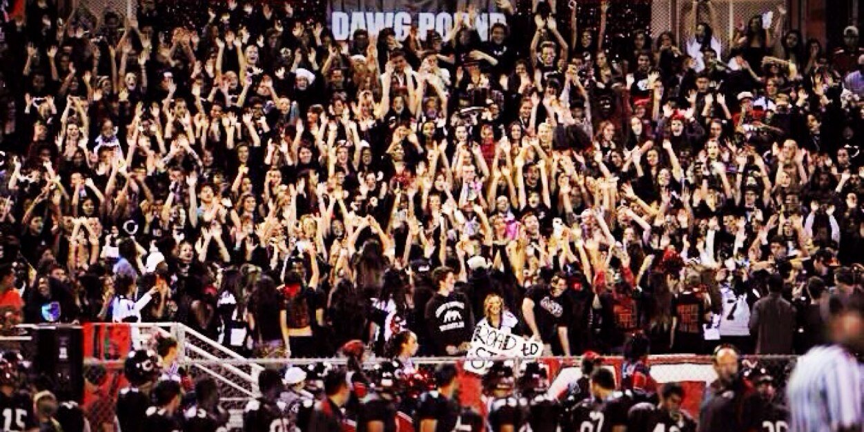 Centennial Huskies banner