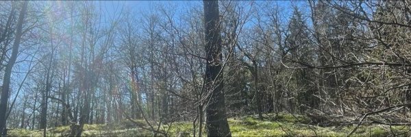 PPAbrigo's profile banner image