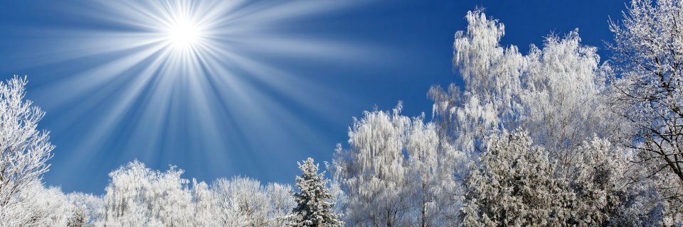 Jan_DAT's profile banner image