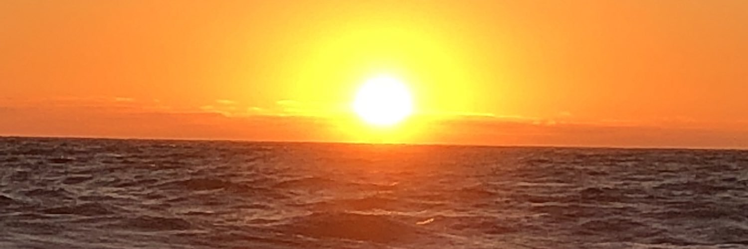 NonEchoChamber's profile banner image