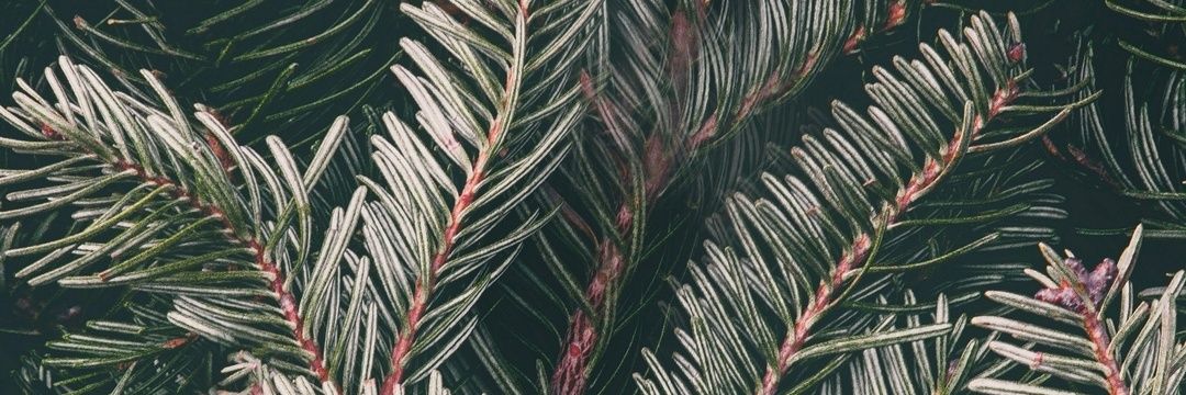 Pabsyo's profile banner image