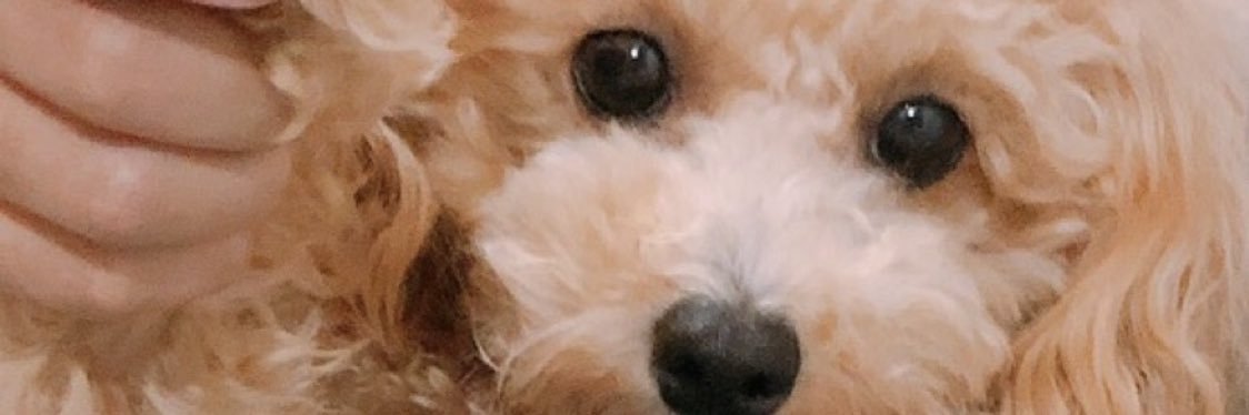 アーサー信者 banner