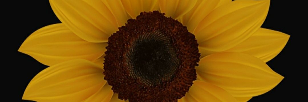AzizahAlam's profile banner image