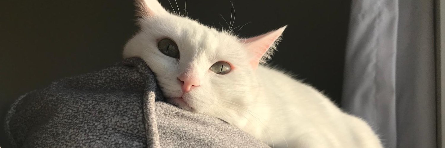 esragundesli_'s profile banner image