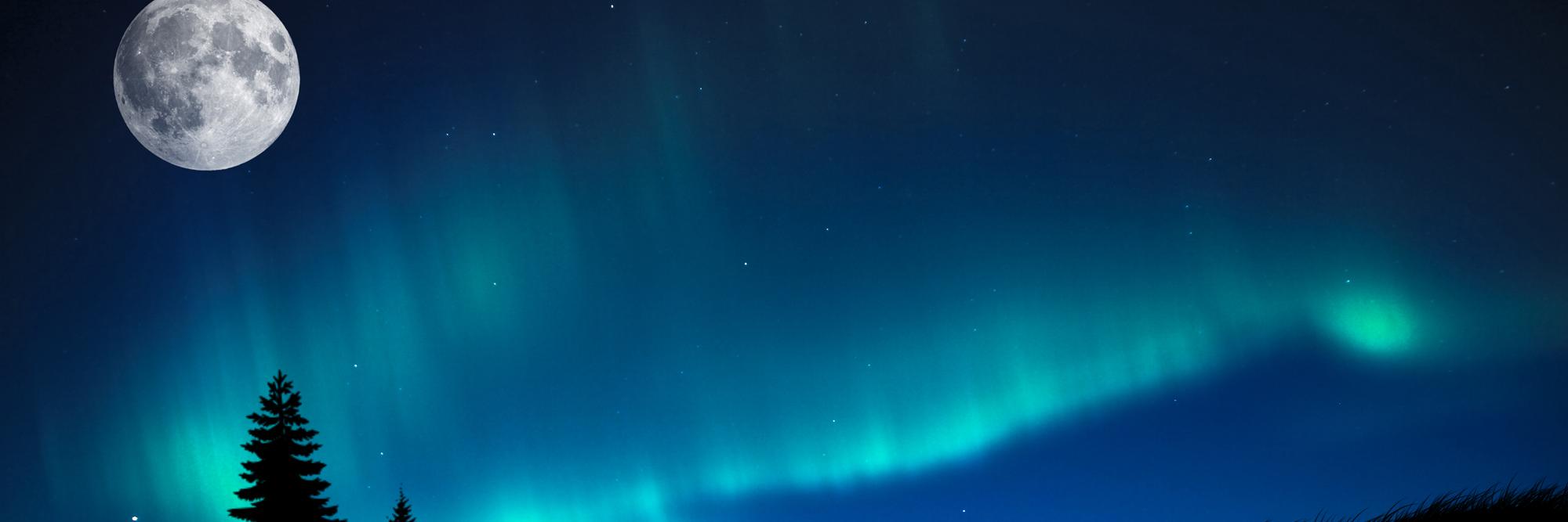 el_derpus's profile banner image