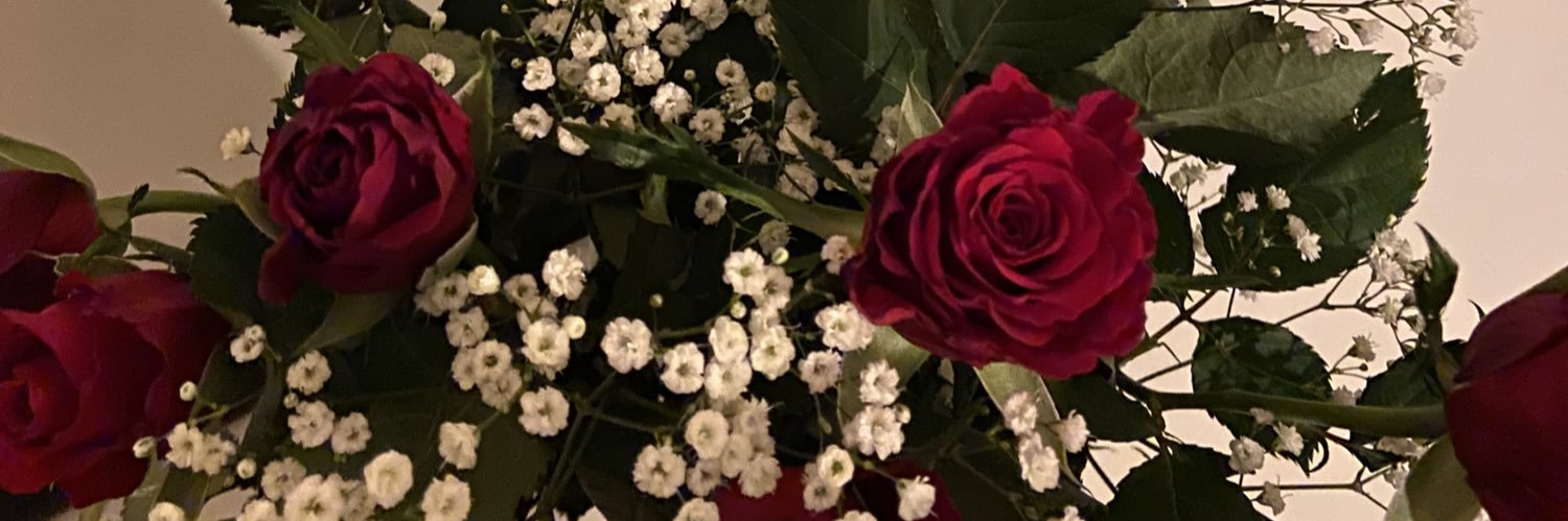 Stacysgr's profile banner image
