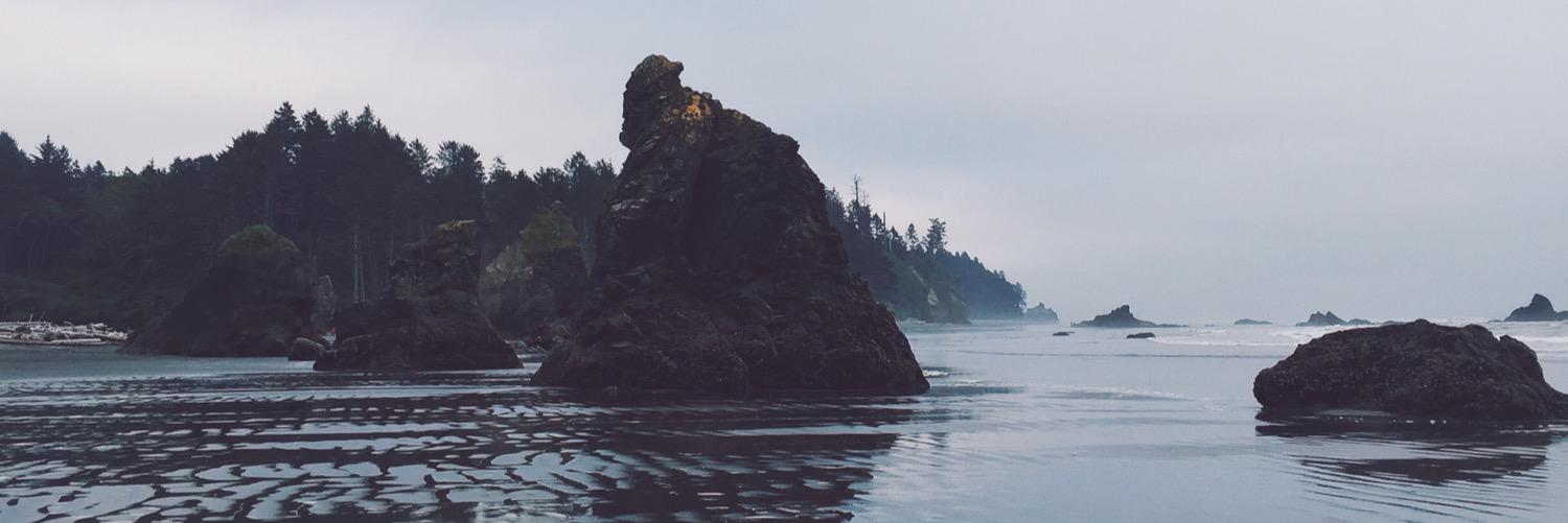 abigailarroyos's profile banner image