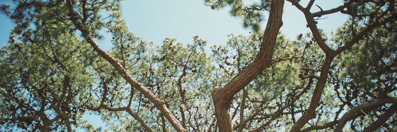nicparkes's profile banner image