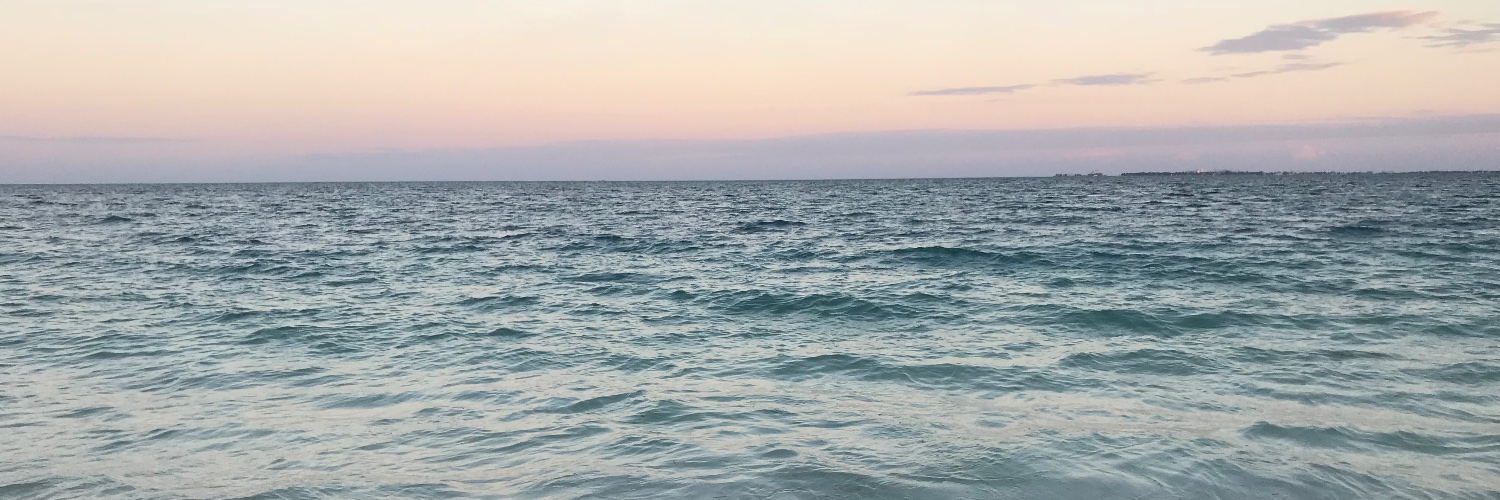 EducatingMe's profile banner image