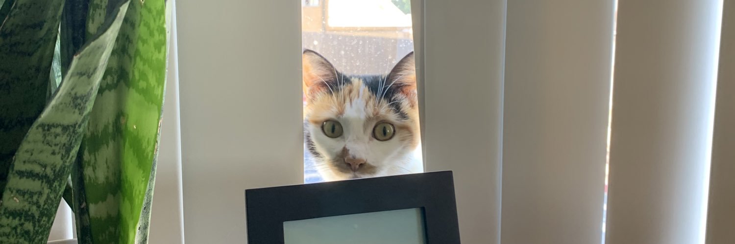 Just_CallmeCat's profile banner image