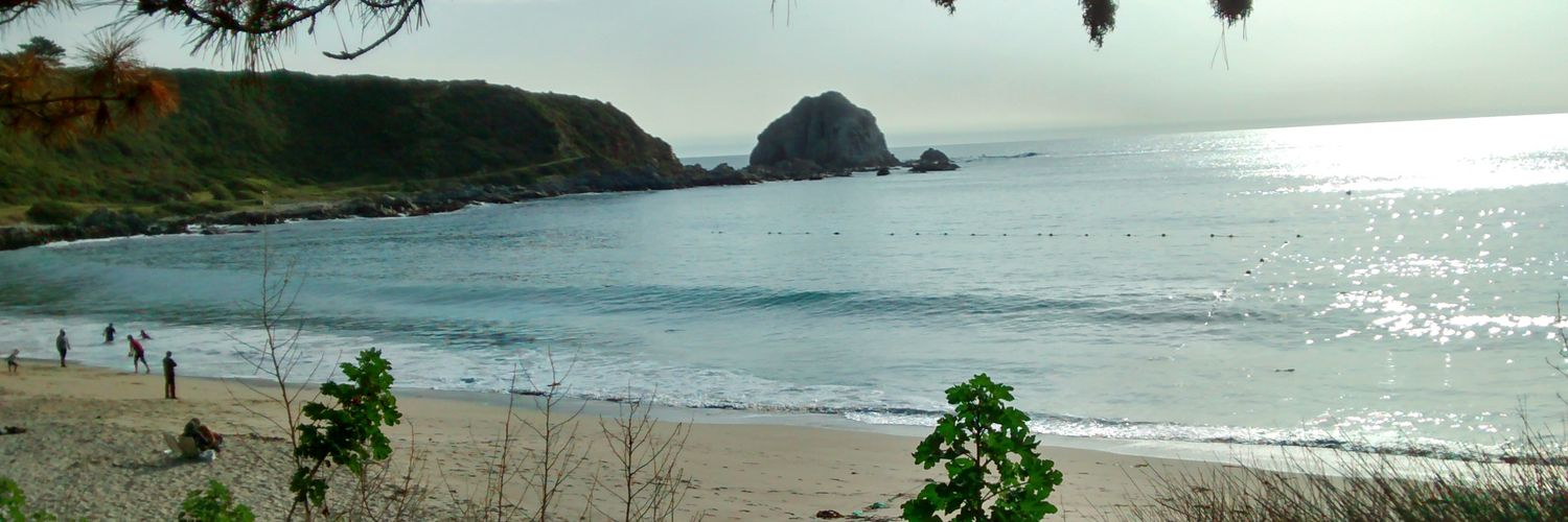avbuca's profile banner image