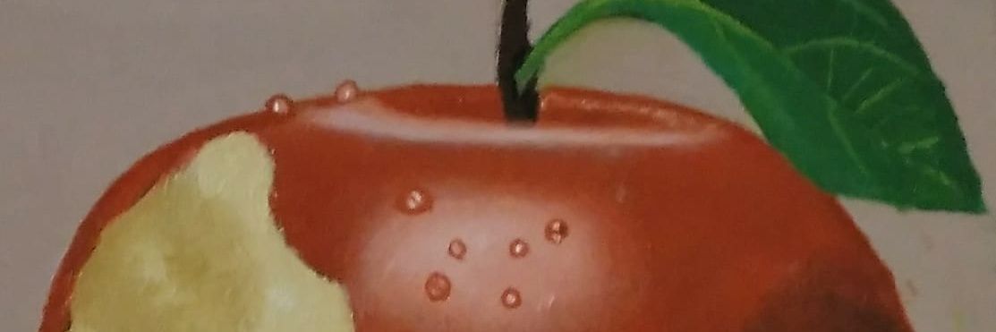 Josep Ortega Segura banner