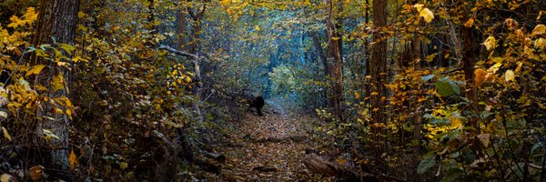 jsupersample Profile Banner