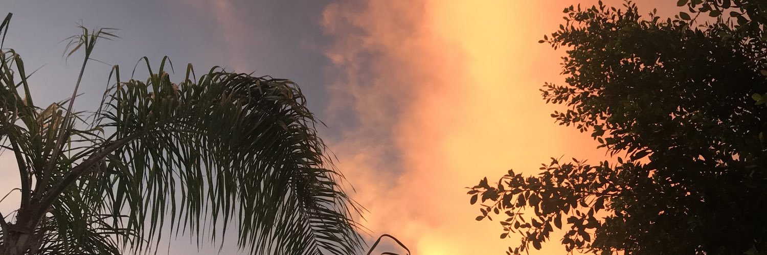 bglluvr's profile banner image