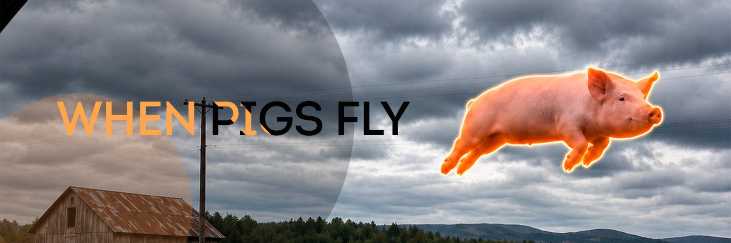 whenpigsflyfun's profile banner image