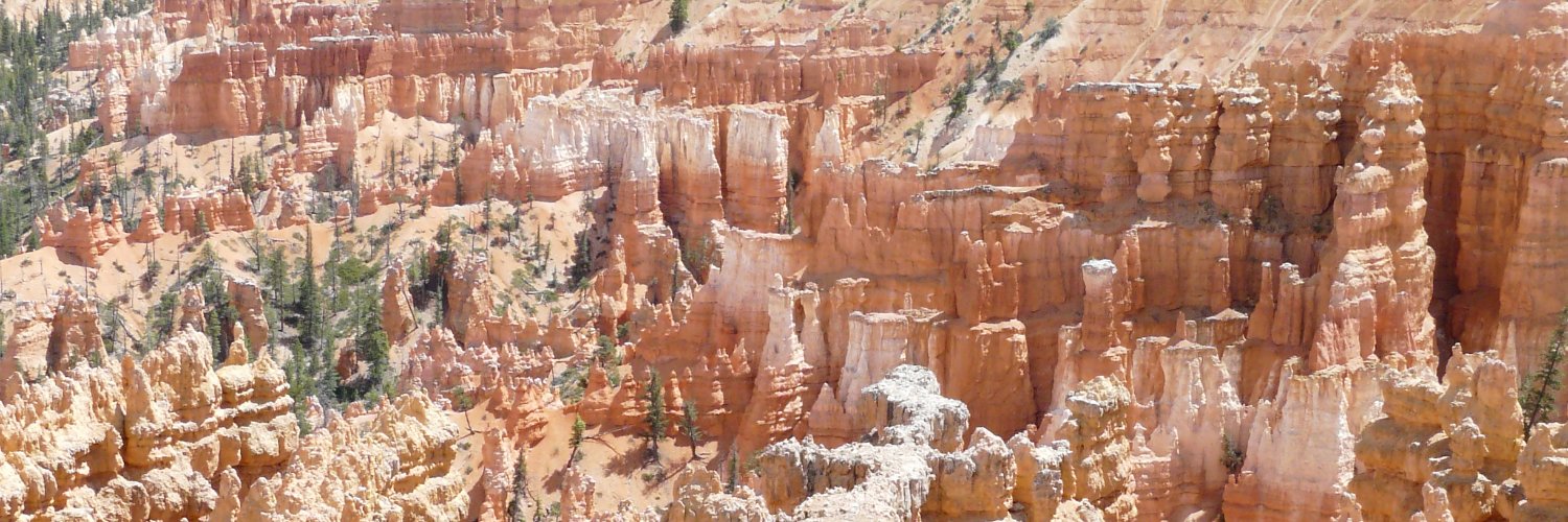 Hans Gerritse banner