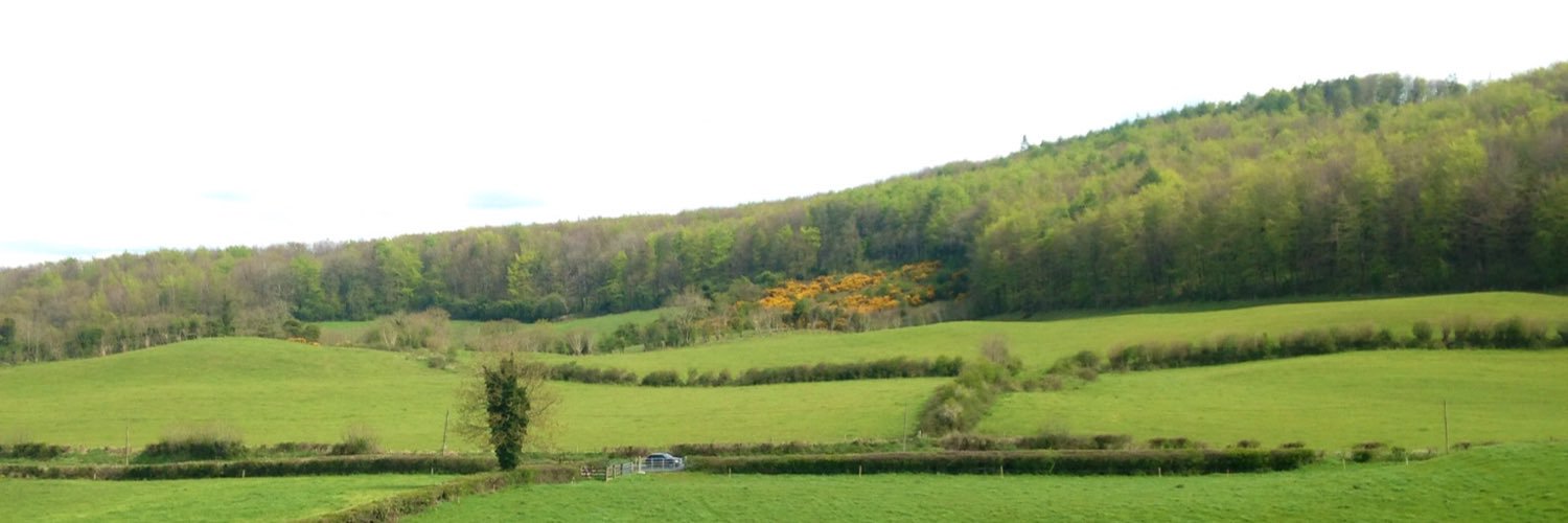 Michael Hennessy banner