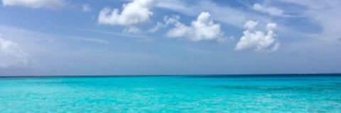 Lisa_Fourie's profile banner image