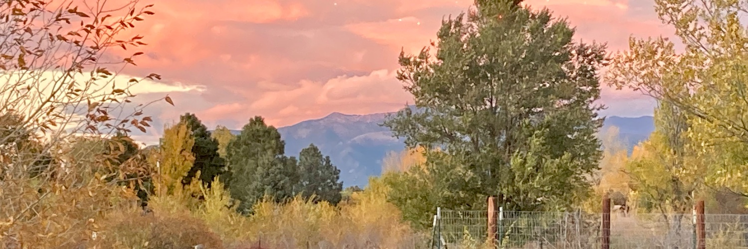 Janet Lyn banner