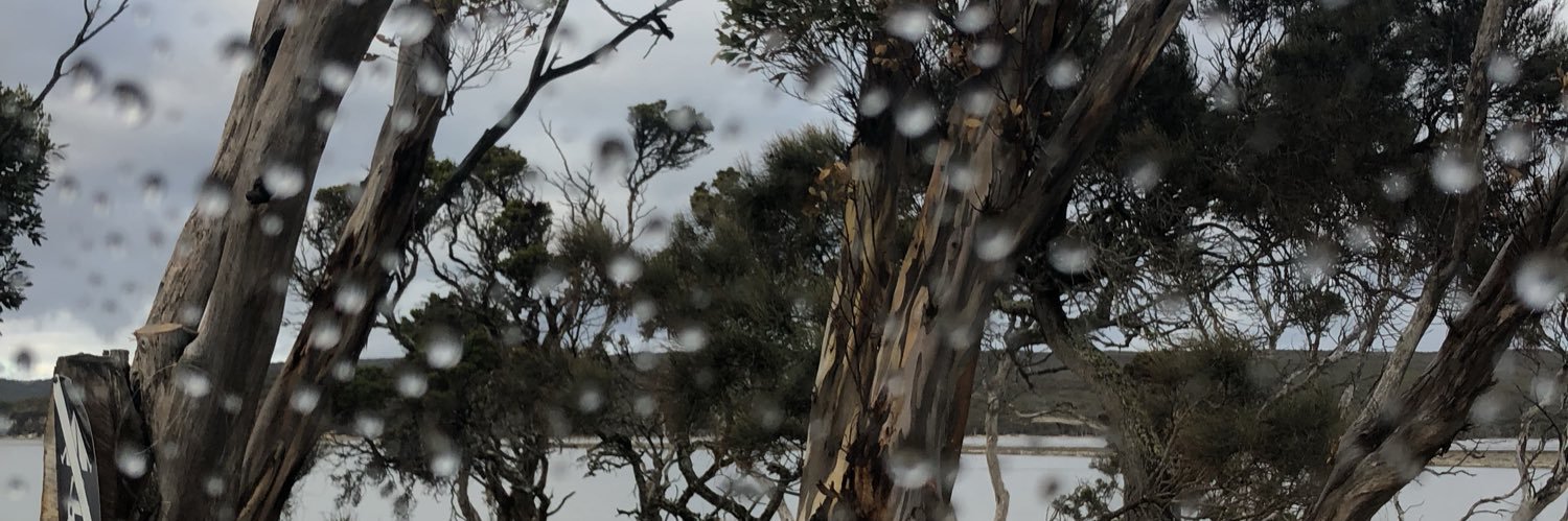 caughtkneeh's profile banner image