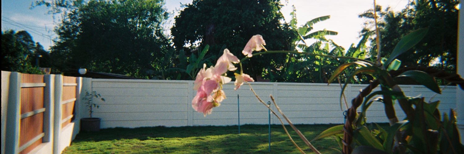 pxmok's profile banner image