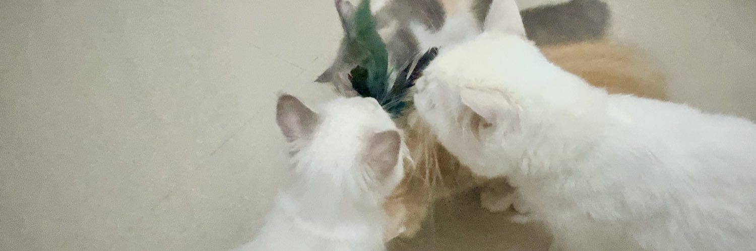 julliaaanne's profile banner image