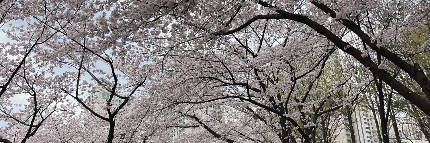 Beary 🧸🧸 banner