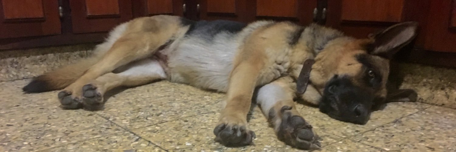yocito's profile banner image