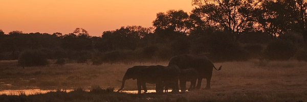 AngelsGispert Profile Banner