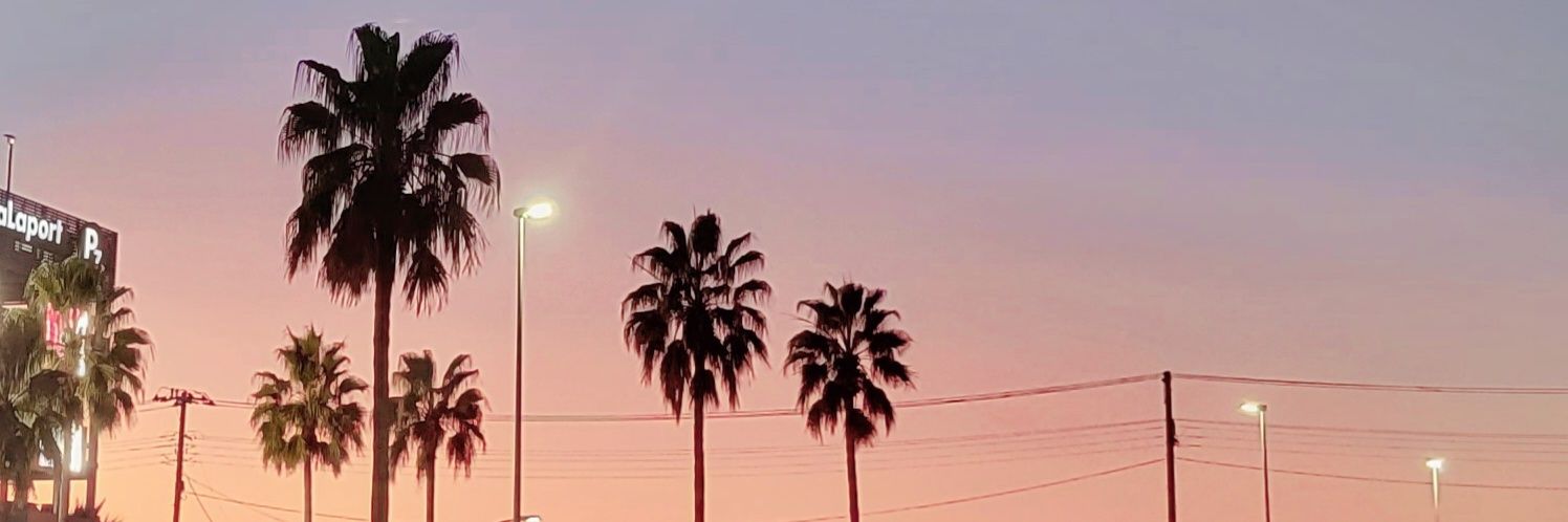 goose_54's profile banner image