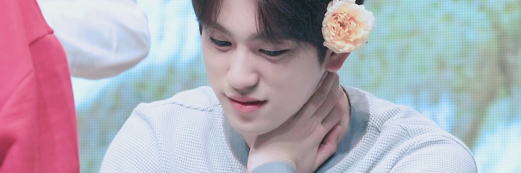 🧸🐝 banner
