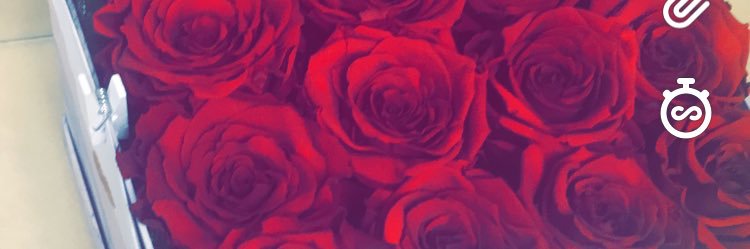 ELLE_SCOTT's profile banner image