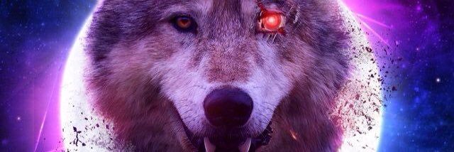BroncoFestiva's profile banner image