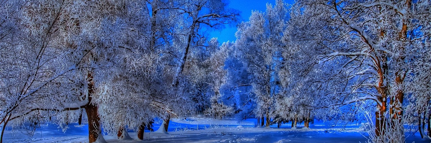 RealACToCold's profile banner image