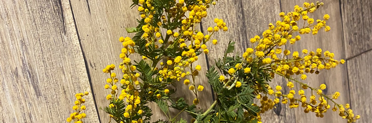 f_spring_flower's profile banner image