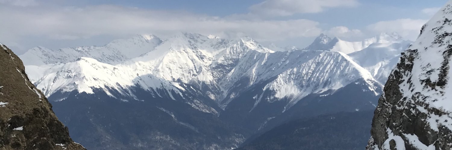 жёваный крот banner