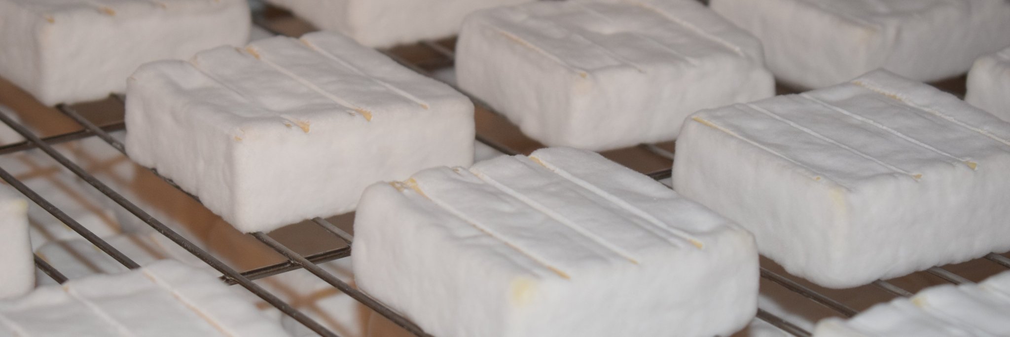 OCSheepCreamery's profile banner image